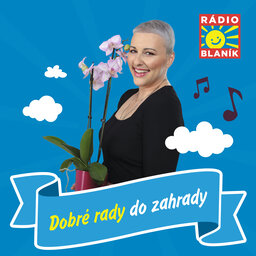 DOBRÉ RADY DO ZAHRADY NA RÁDIU BLANÍK - Mravenci