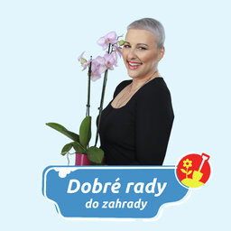 DOBRÉ RADY DO ZAHRADY NA RÁDIU BLANÍK- Krmítka