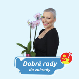 DOBRÉ RADY DO ZAHRADY NA RÁDIU BLANÍK-Zahrada v únoru: správný čas na řez?