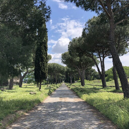 Respighi's The Pines of Rome: a picturesque tour of Rome!