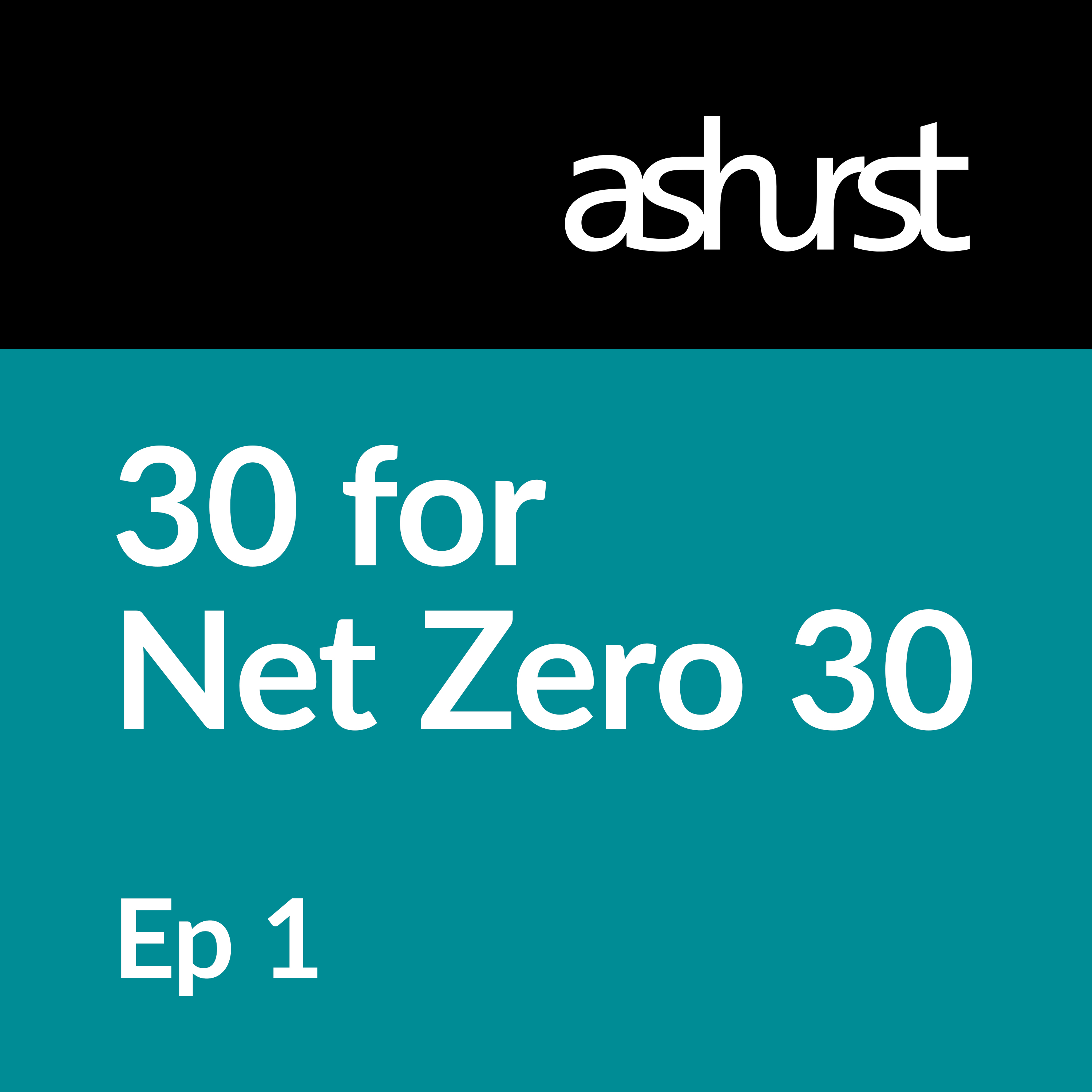 Episode 1: The rise and rise of sustainable finance