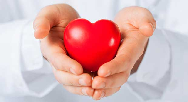 Para la prevención del enfermedades cardiovasculares es necesario acudir con su médico: Experto