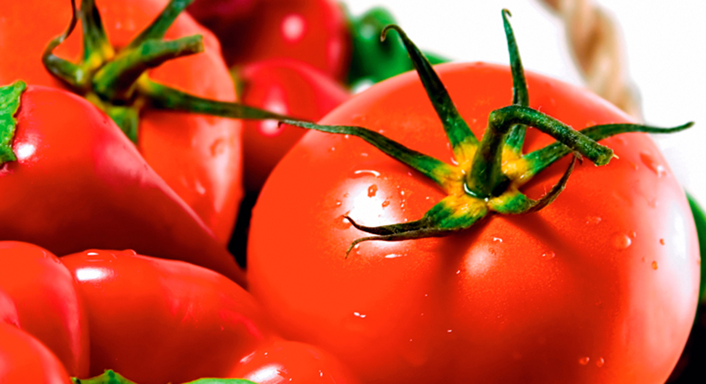 “Imponer un arancel al tomate mexicano representaría un incremento al consumidor del 50%”: GCMA 