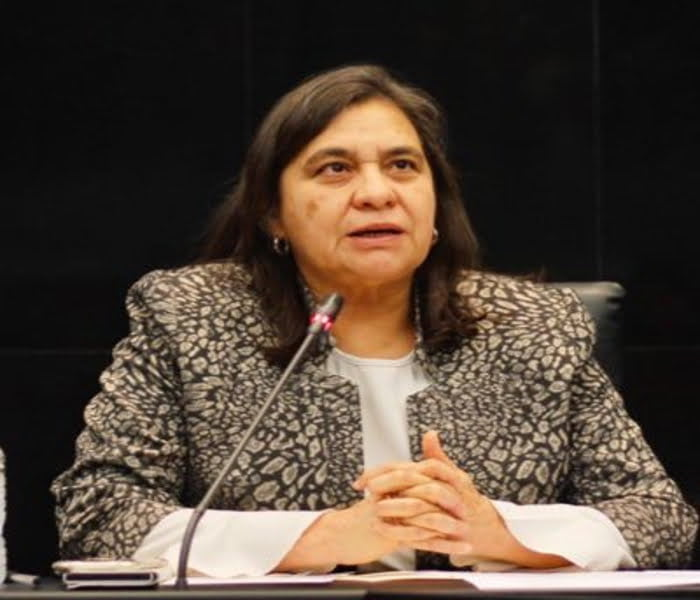 Leticia Bonifaz: Renuncia del Consejo Consultivo de la CNDH