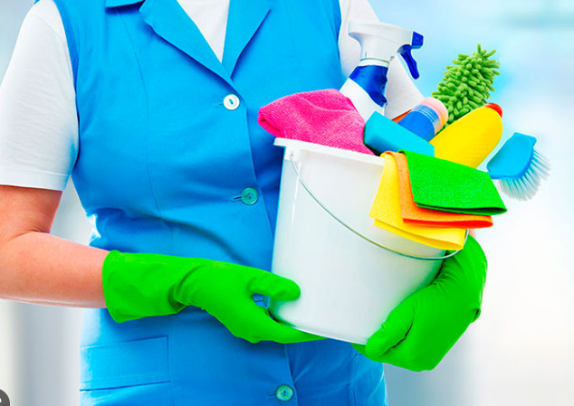 Hogar justo hogar busca garantizar un empleo digno a las trabajadoras del hogar: Azuela