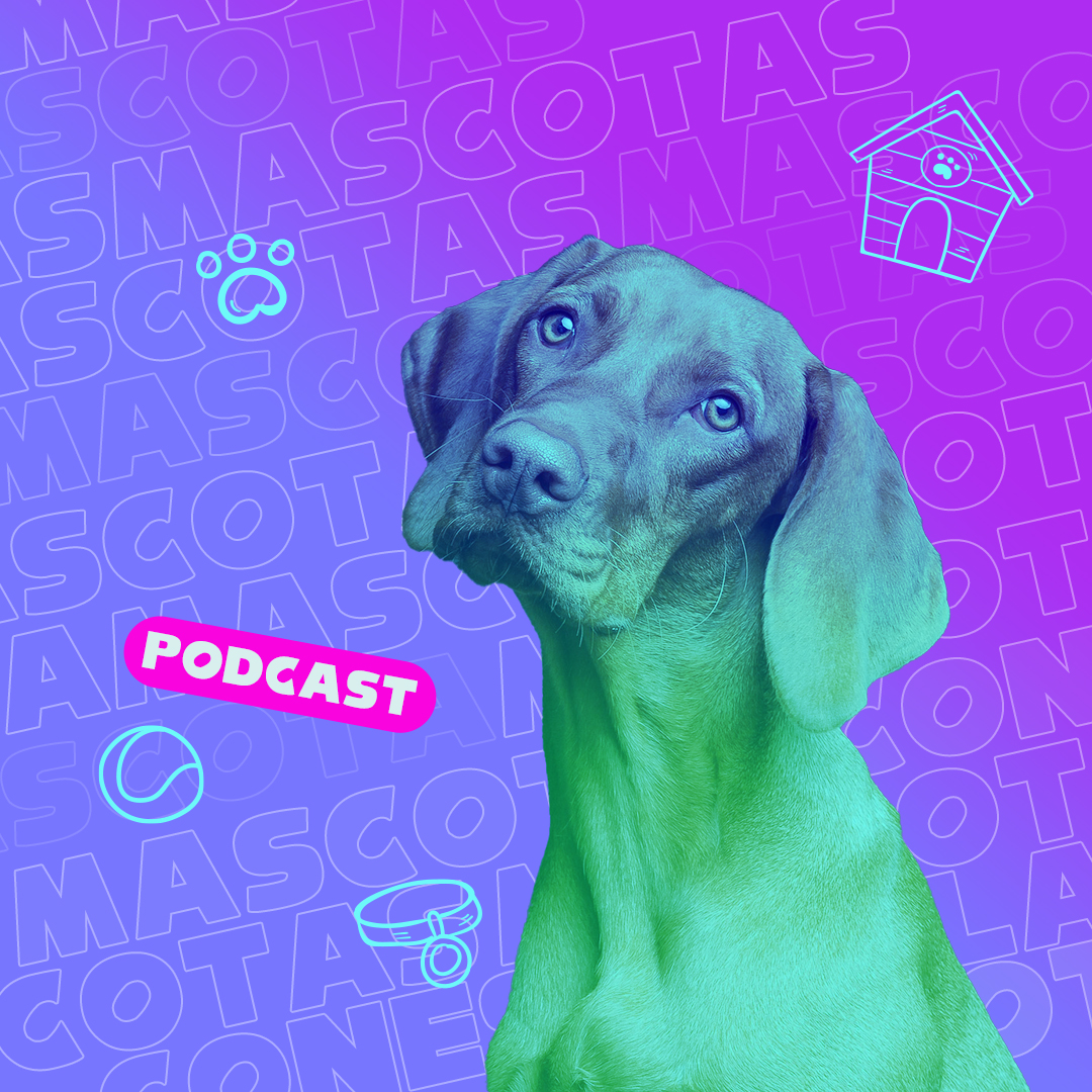 Consejos expertos para una vida feliz con tu mascota