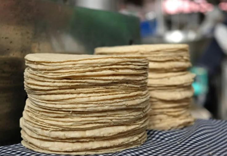 "Bajar el precio de la tortilla es imposible, al menos que vuelva el subsidio": López   