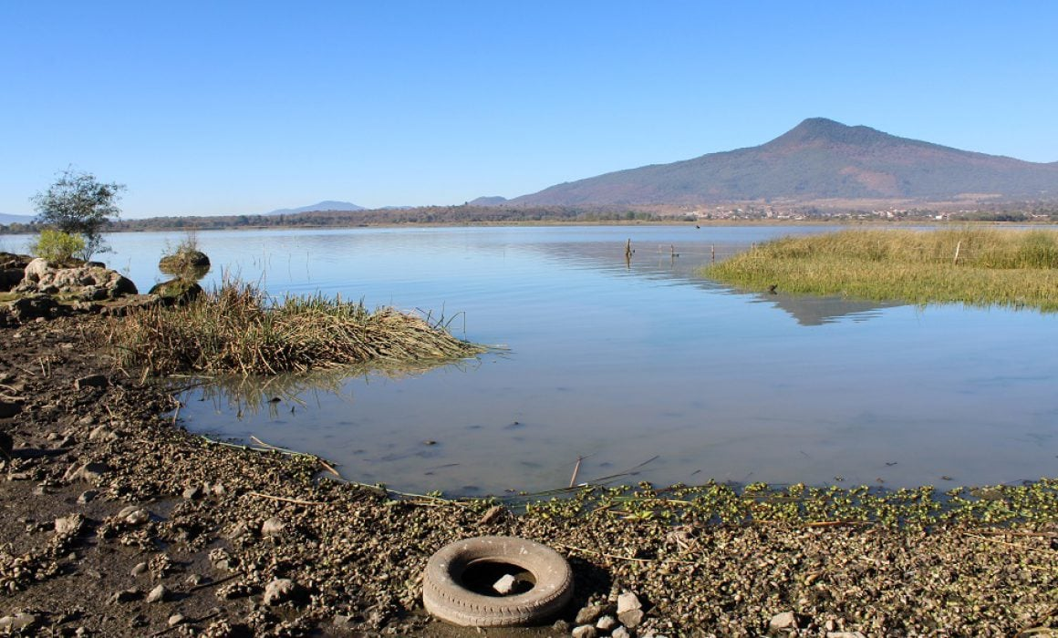 “La erosión generada por la deforestación y el huachicoleo de agua, son las principales problemáticas del Lago de Pátzcuaro”: Especialista