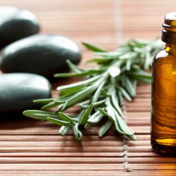 Everything You Need To Know About Essential Oils For Fat Loss, Performance, Smart Drugs, Scar Healing, Detoxing And More.