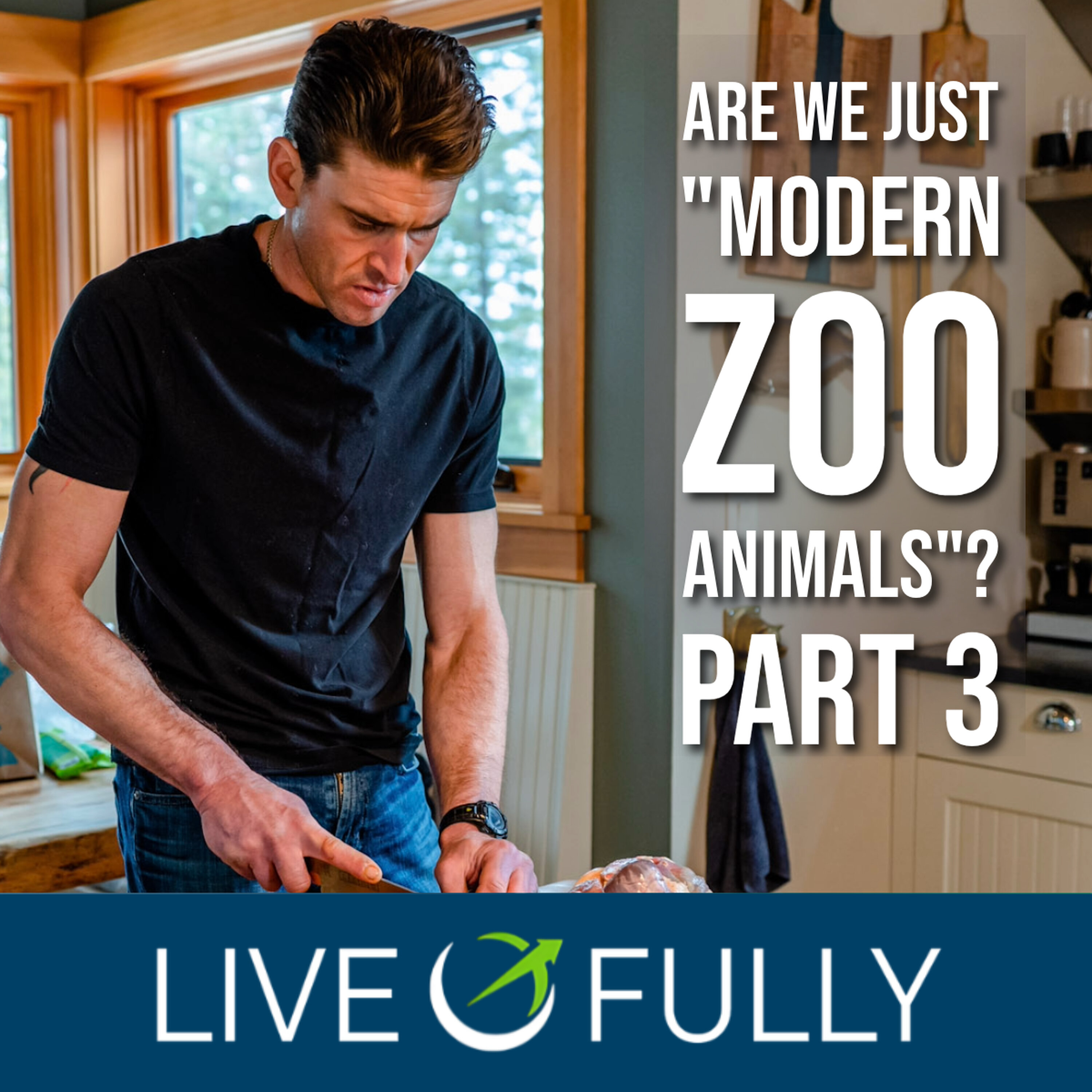 Are We Just *Modern Zoo Animals*? The Ancestral Mismatch (Part 3)