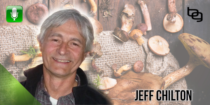 Mushroom Lies: Why Most Medicinal Mushroom Supplements Are Chock Full Of Grain & Dangerous Compounds, And What You Can Do About It.