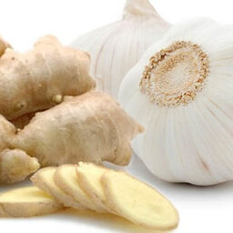 How Root Canals Can Destroy Your Health, Natural Remedies for Ulcers, The Best Kind of Garlic to Use and Much More!