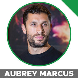 The Meaning Of Life, Making Friends, Plant Medicines In The Bible, Daily Spiritual Routines, Rites Of Passage & More With Ben Greenfield & Aubrey Marcus.