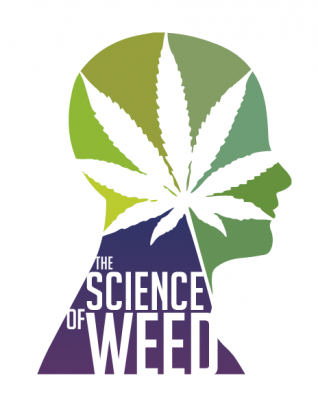Is Weed Healthy? The Controversial Truth About The Science Of Marijuana.