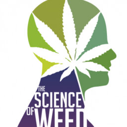 Is Weed Healthy? The Controversial Truth About The Science Of Marijuana.