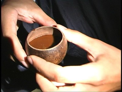 Podcast INSIDER - Ayahuasca 101: Everything You Need To Know About A Potent Adaptogenic Drink