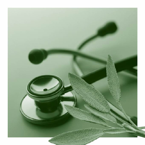 Podcast #19: Naturopathic Medicine, Nutrition & Performance