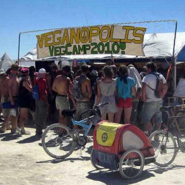 Nutrition Tips For Burning Man, The Science Of Human Touch, Blood Donation Biohacks & More!