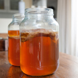 Kombucha: Everything You've Always Wanted To Know But Were Afraid To Ask.