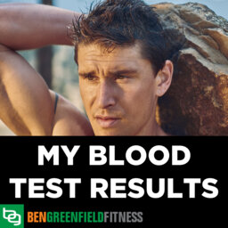 A Deep Dive Into How To Interpret The Results Of Your Blood Testing - Ben Greenfield Reveals & Walks You Through His Laboratory Results From WellnessFX.