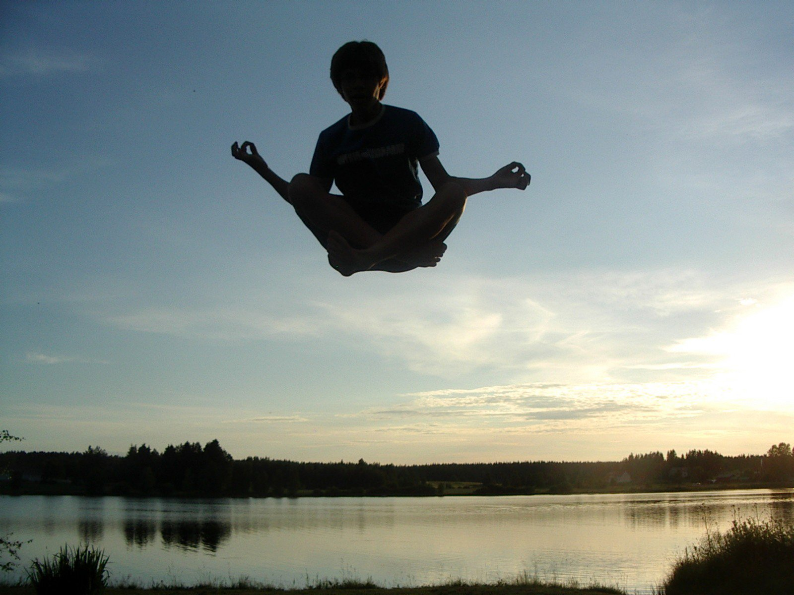 Boundless Life