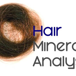 Everything You Need To Know About Hair Mineral Analysis.