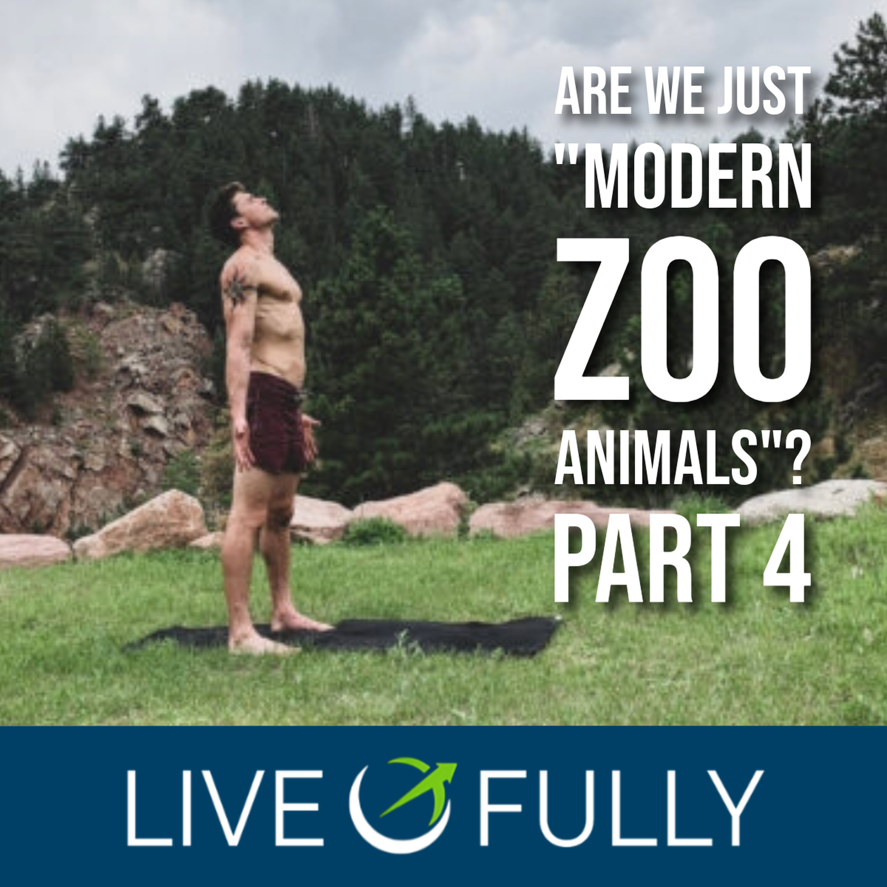 Are We Just *Modern Zoo Animals*? The Ancestral Mismatch (Part 4)