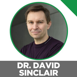 Ben Greenfield Interviews Dr. David Sinclair About Lifespan: Why We Age―and Why We Don't Have To.