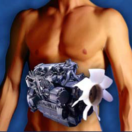 Episode #216: 6 Hidden Ways That You May Be Lowering Your Metabolism & Gaining Fat