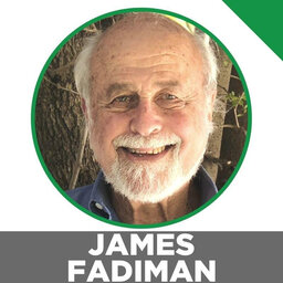 Microdosing For Sports Performance, Microdosing Stacks With Psychedelics & Plant Medicines, The Best Microdosing Protocols & Much More With Jim Fadiman.
