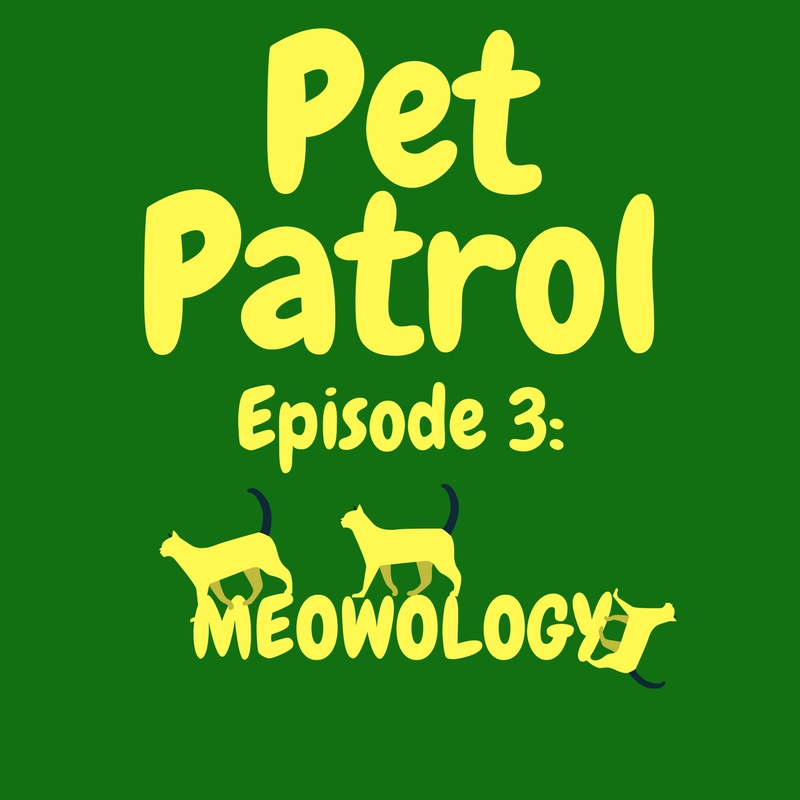 Meowology - Feline Linguistics