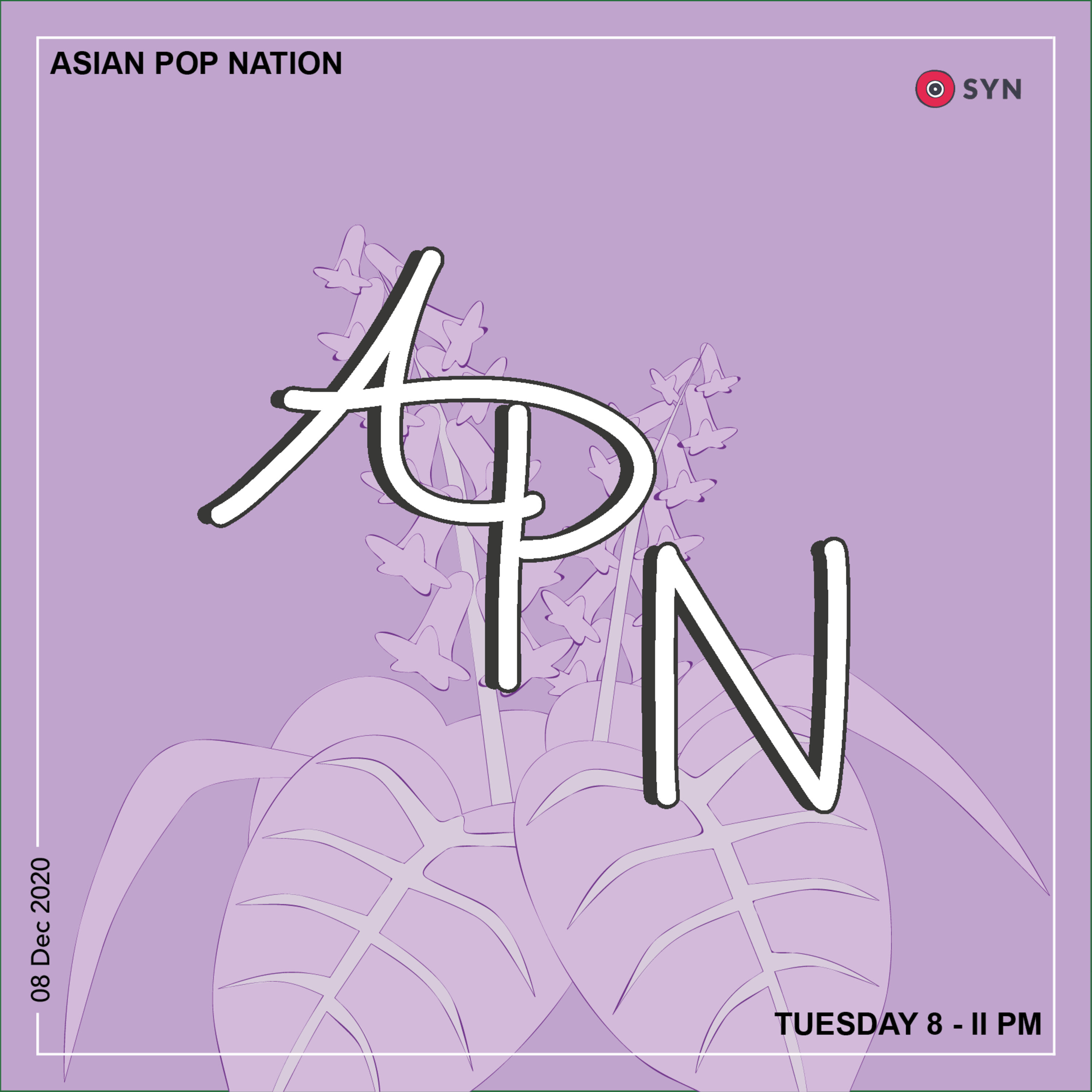 APN Season 4: Episode 11 (08/12/20)