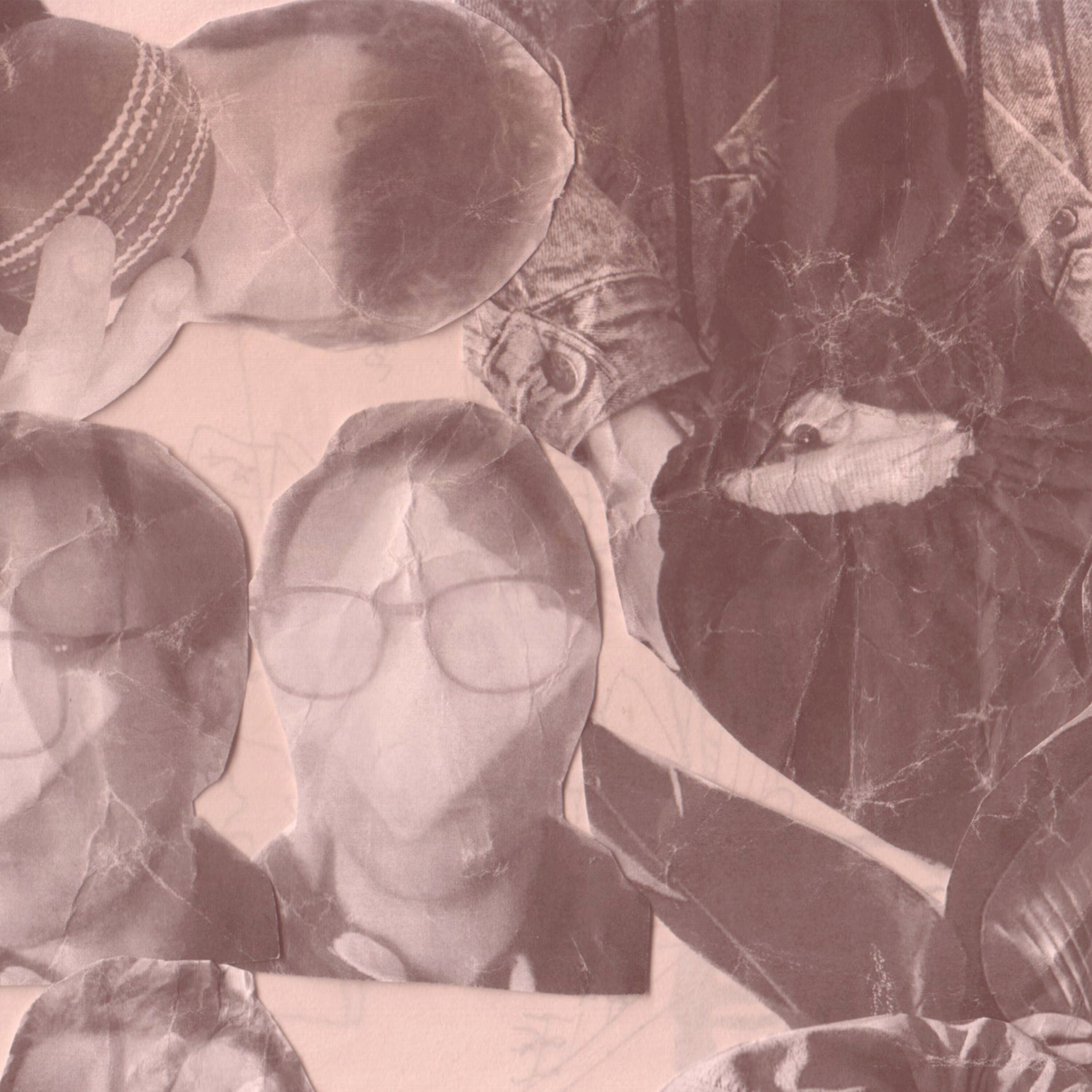 Sweet Talk: Pop Filter on 'Banksia' episode artwork