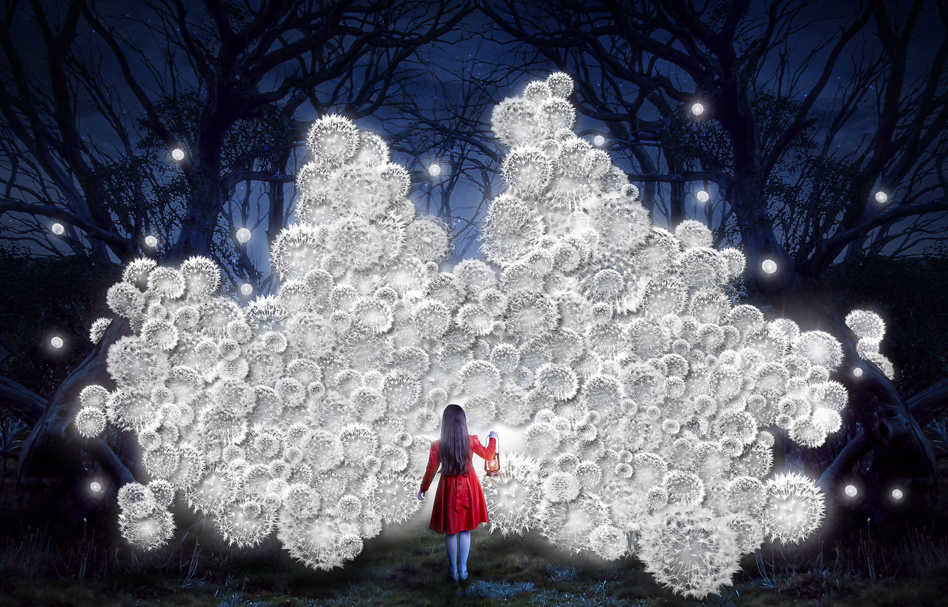 Interview: Erin Taylor and Sarah Edwards