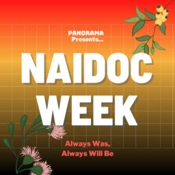 Panorama Presents... NAIDOC Week