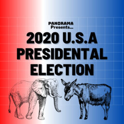 2020 USA Presidential Election #2 - Legacy of Trump
