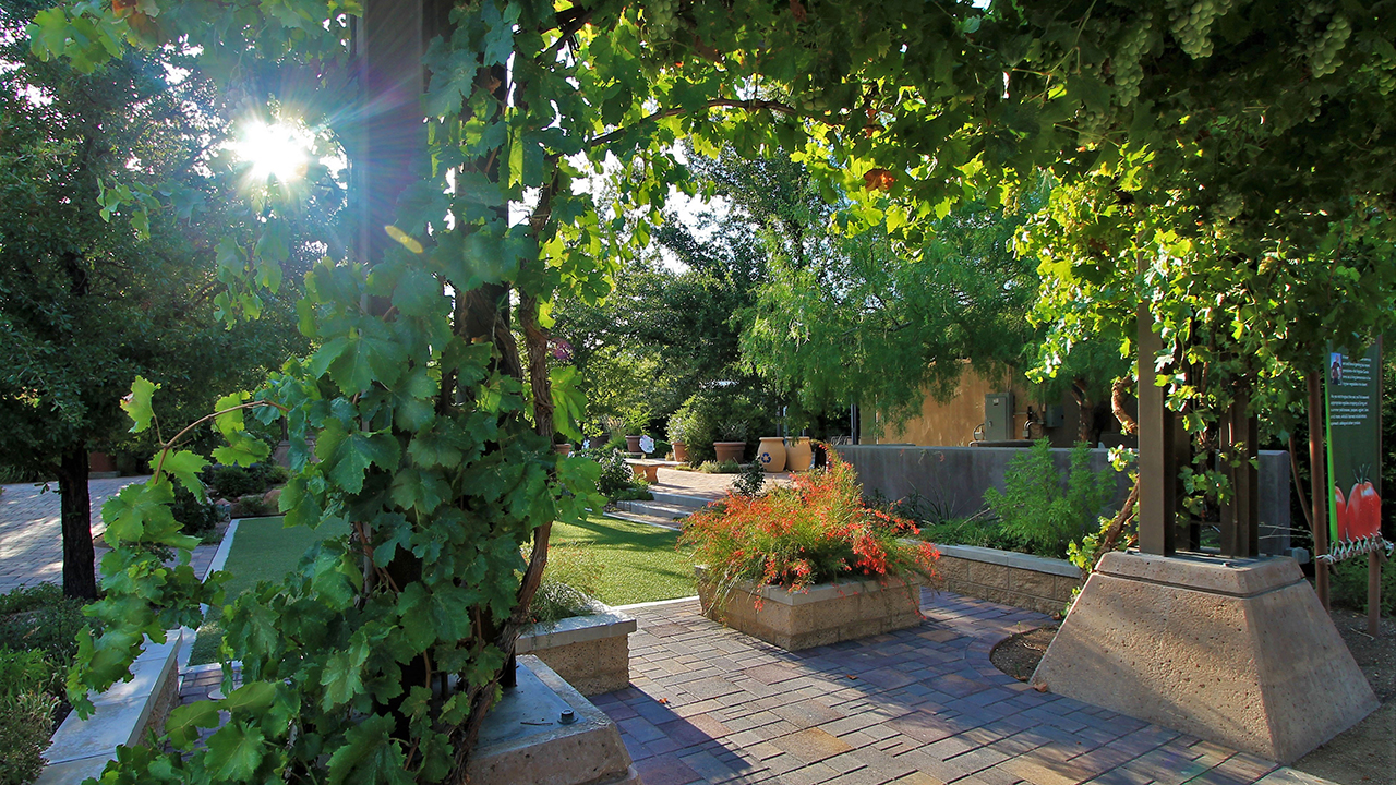 Tall Stories 227: Château Tooting