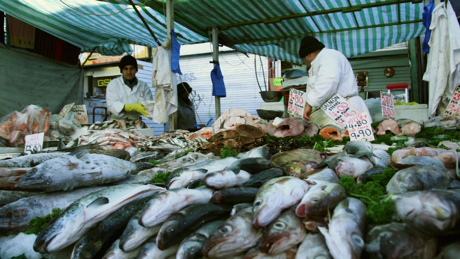 Tall Stories 113: Ridley Road Market