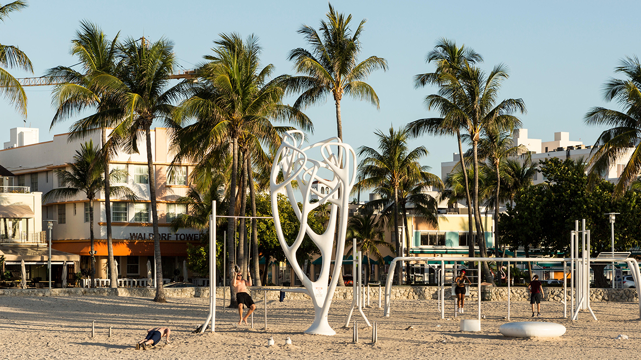 Tall Stories 340: Muscle Beach South Beach, Miami