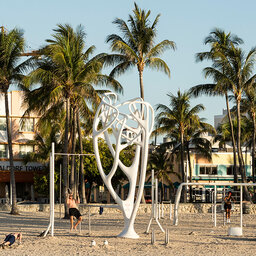 Tall Stories 340: Muscle Beach South Beach, Miami