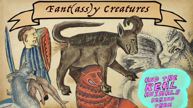 Fant(ass)y Creatures thumbnail