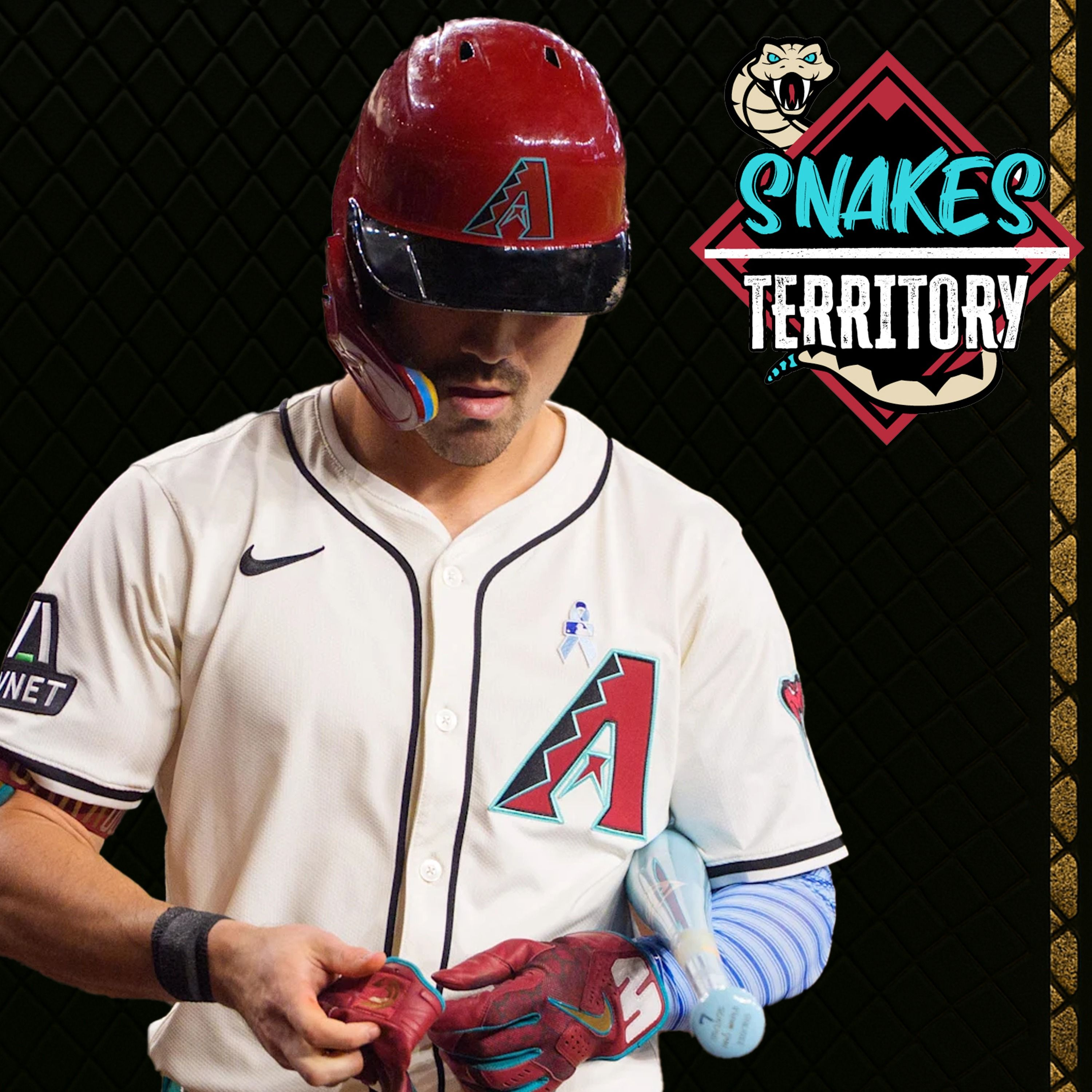 Snakes Territory: an Arizona Diamondbacks podcast