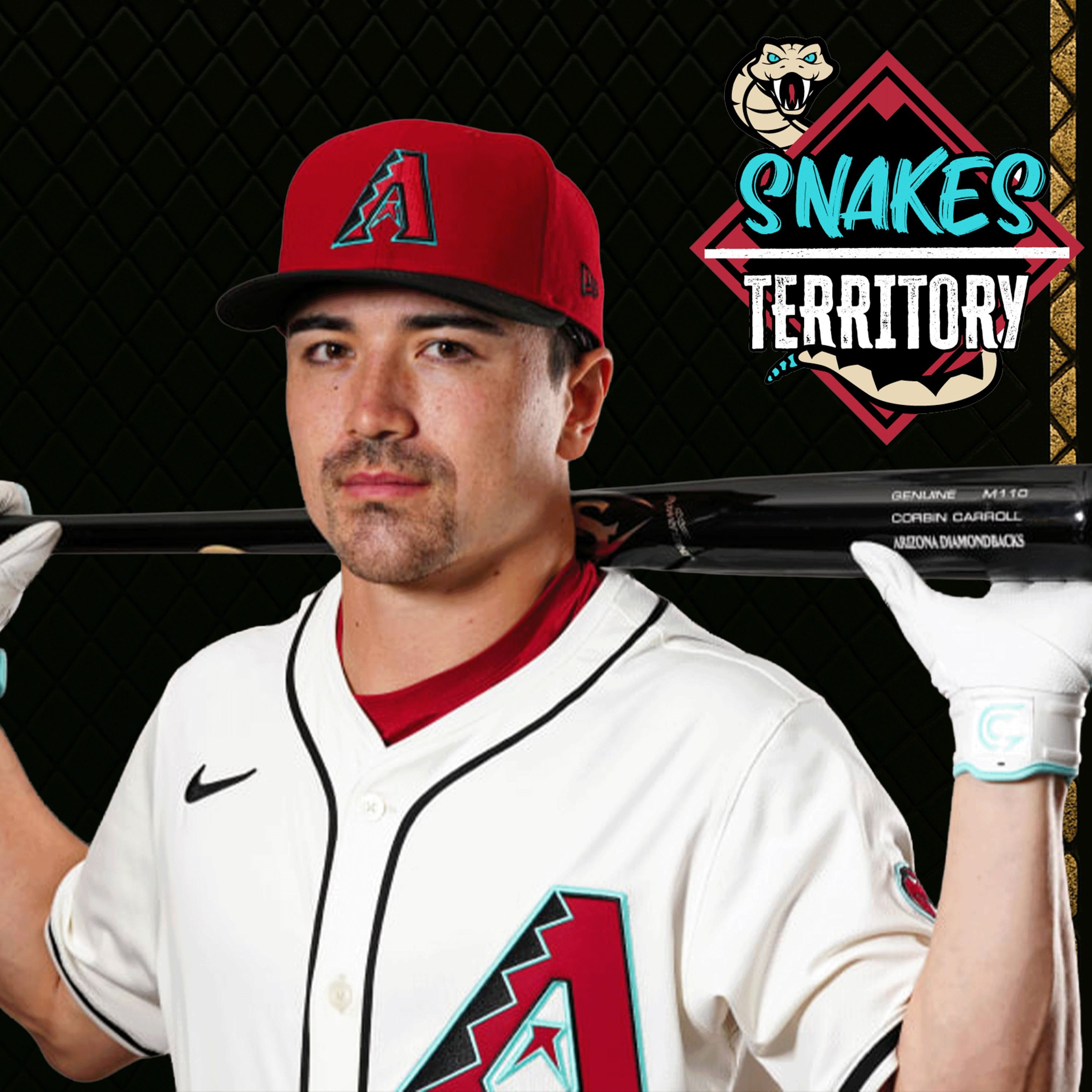 Snakes Territory: an Arizona Diamondbacks podcast