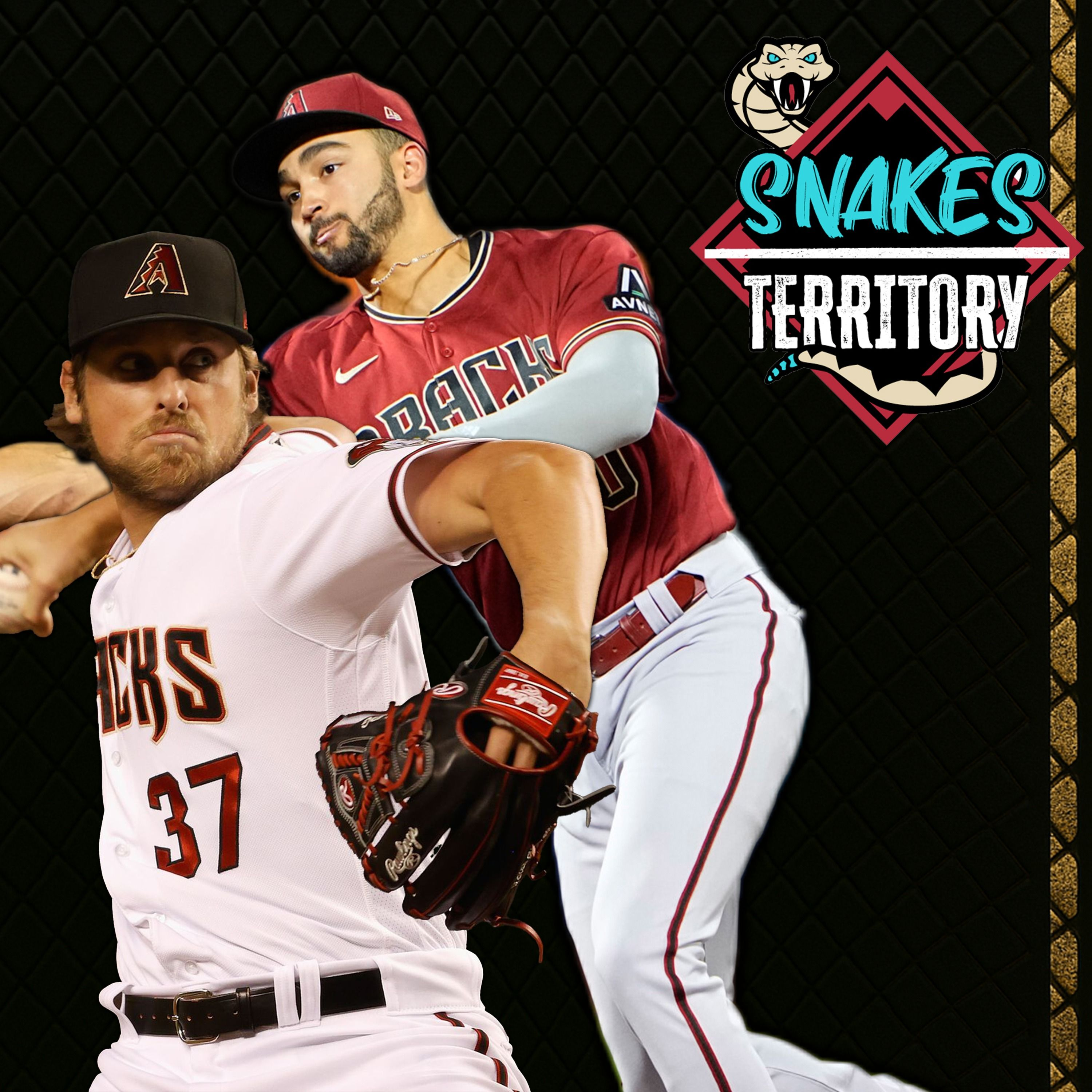 Snakes Territory: An Arizona Diamondbacks Podcast