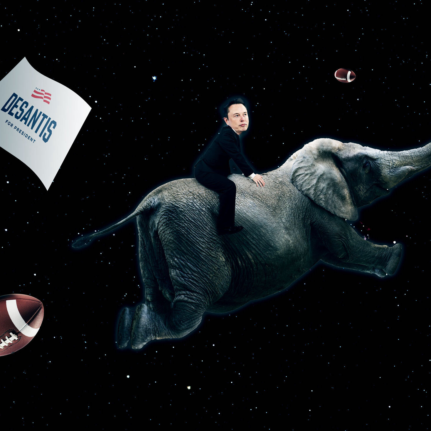 cover of episode Deciphering Elon Musk's Politics