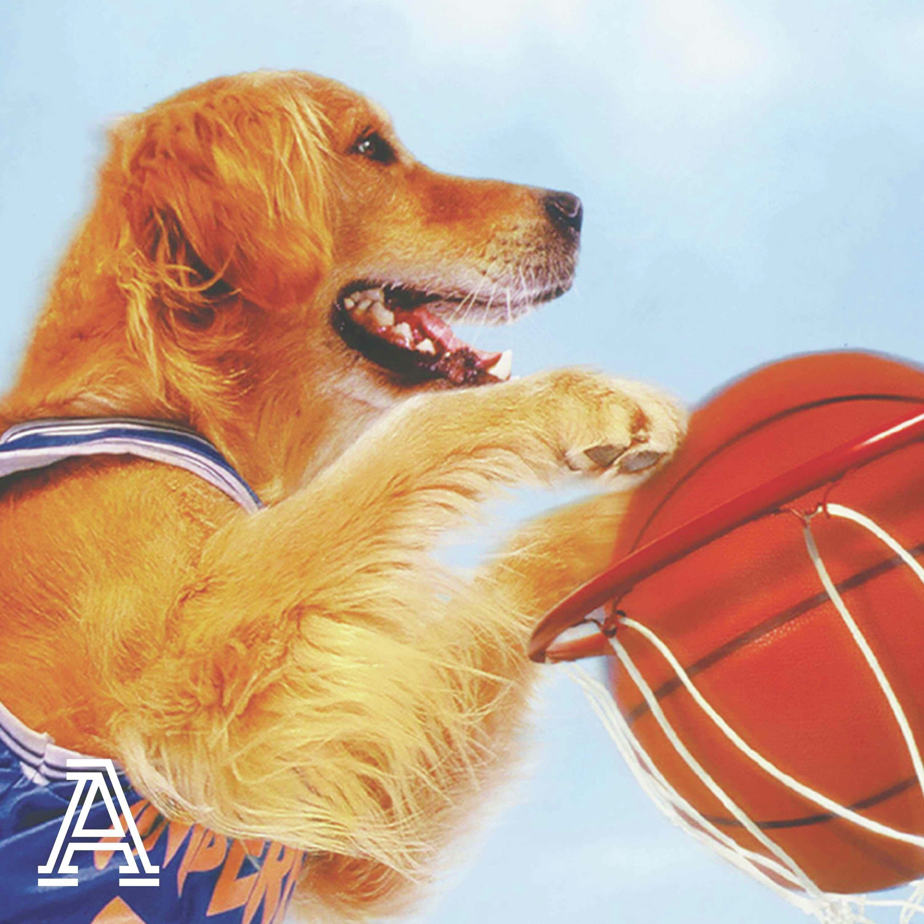 Revisiting 'Air Bud' | Film Session