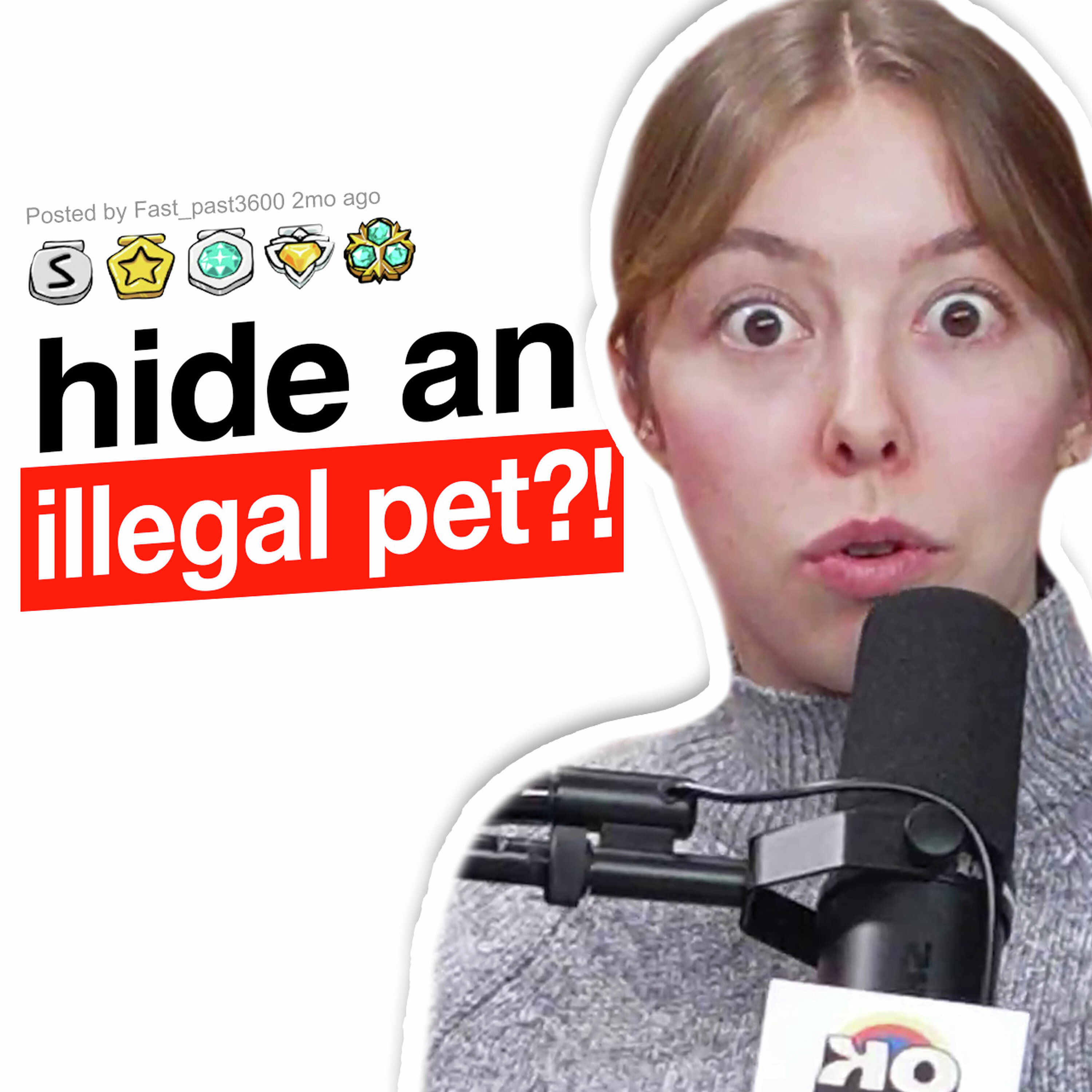 My roommate is keeping an ILLEGAL pet at our apartment! | Reddit Stories | EP2563 My roommate is keeping an ILLEGAL pet at our apartment! | Reddit Stories | EP2563