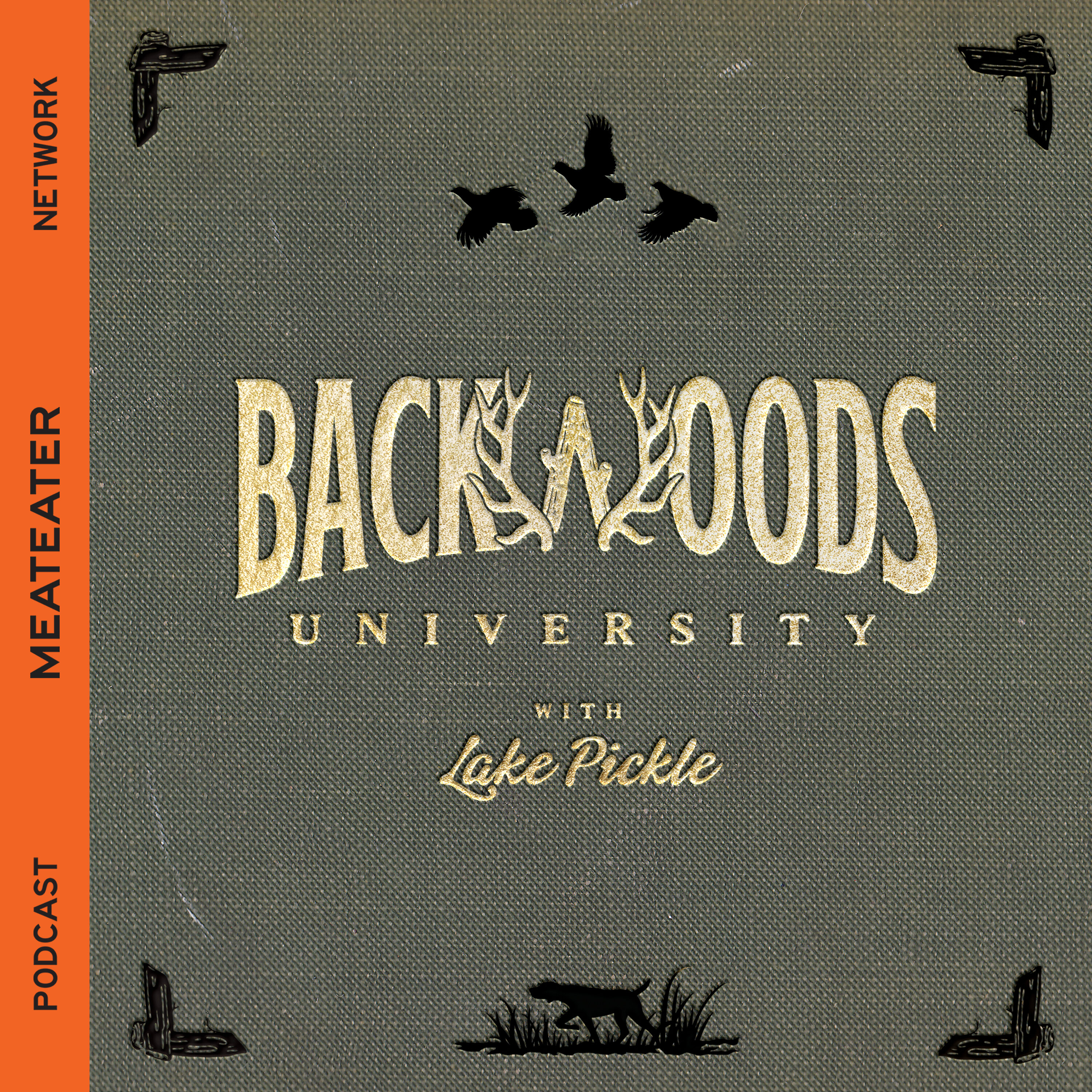 Ep. 454: Backwoods University - Southern Dinosaurs episode artwork