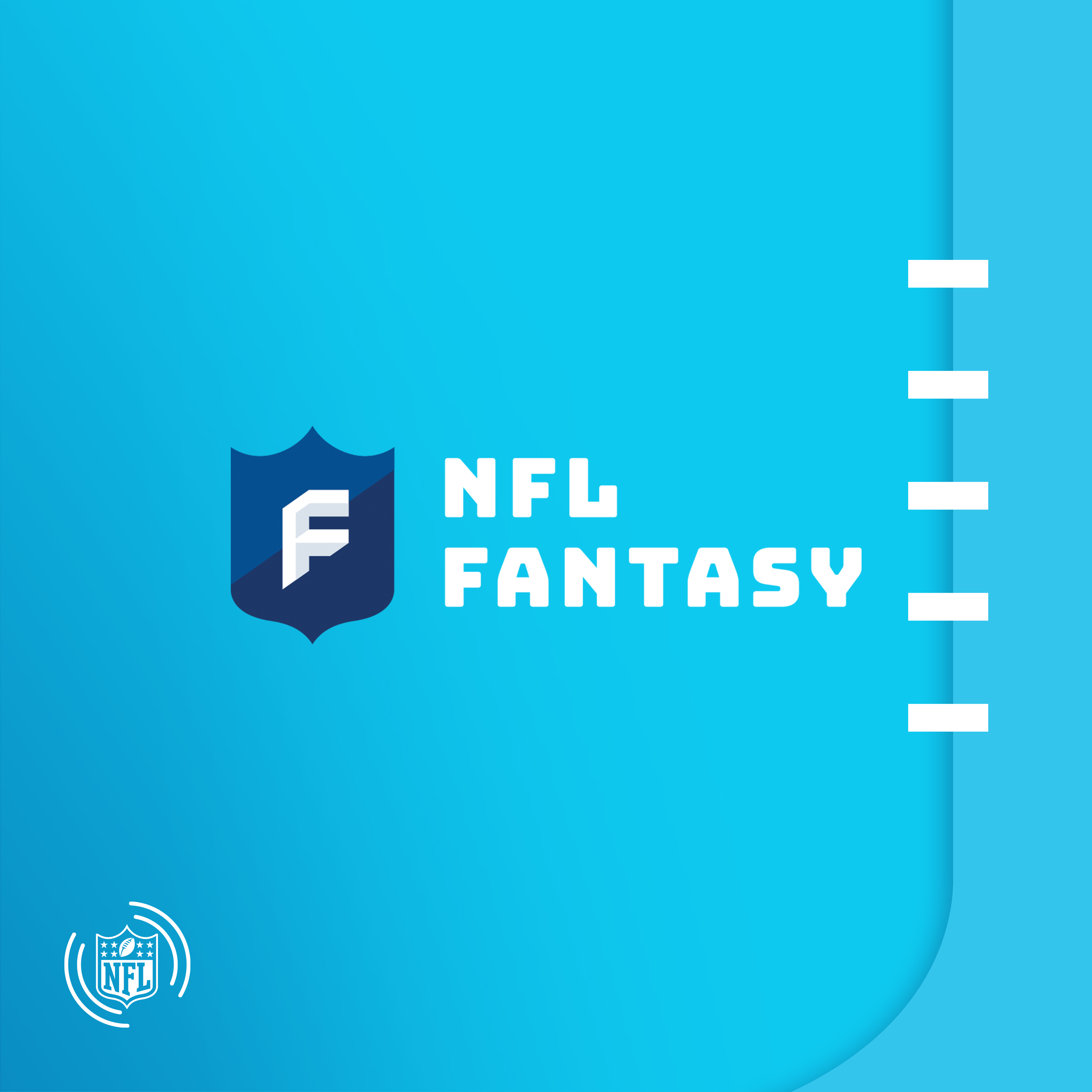 NFL Fantasy Football Podcast: Post-Draft Day 2/3 Recap