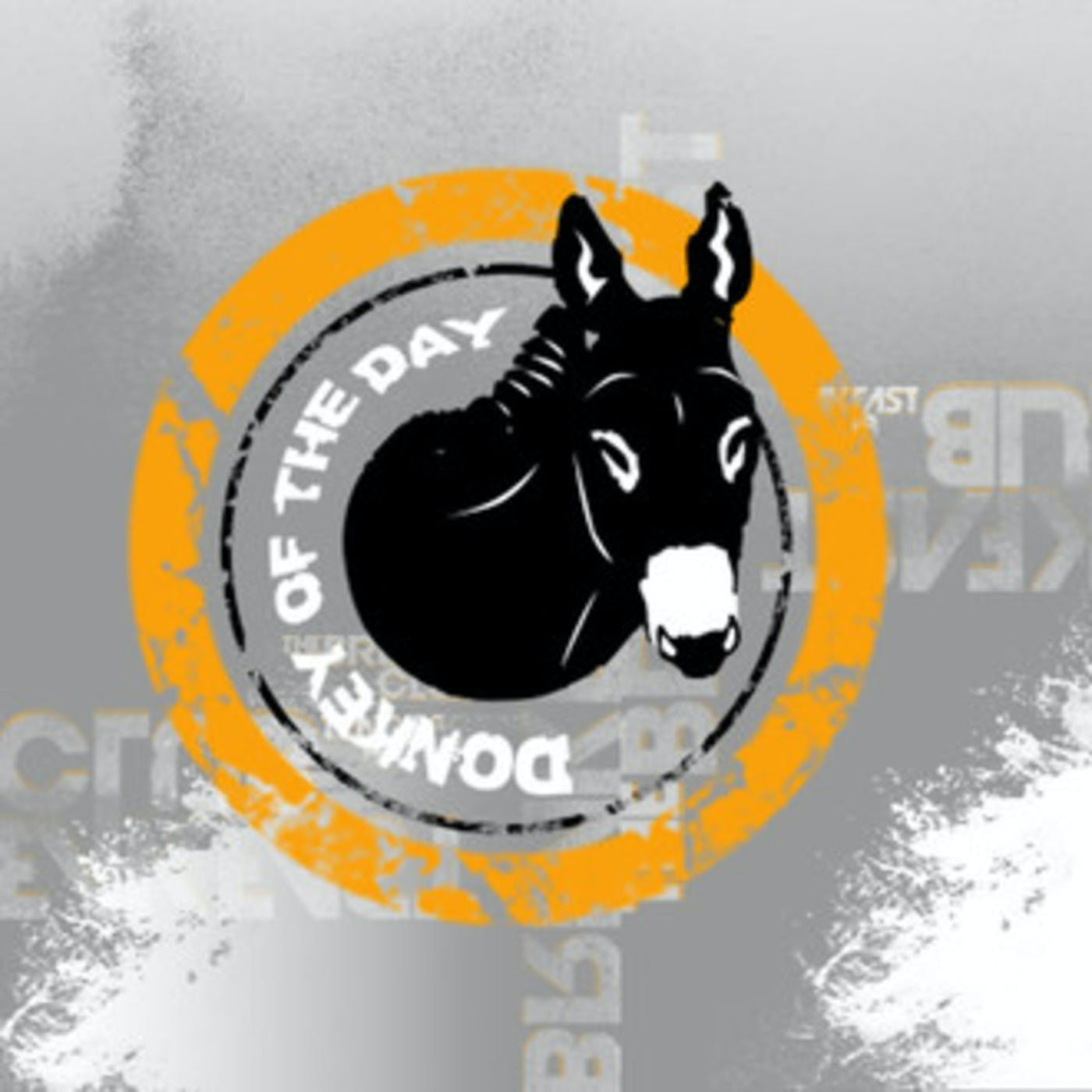 Donkey of the Day - Canyon Molitor & Elroi Ashley (Deadly Twitter Beef) episode artwork